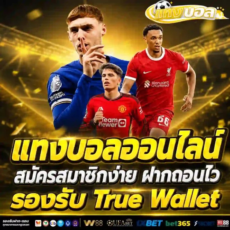 วิธีแทงบอลในเว็บ